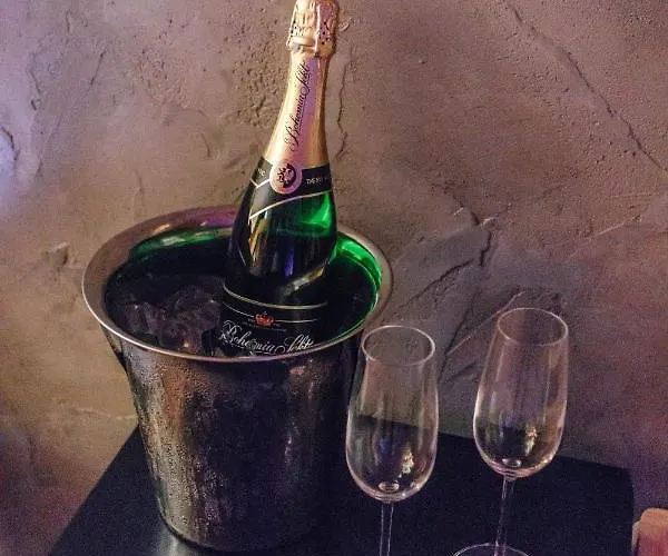 Apartament Wellness *